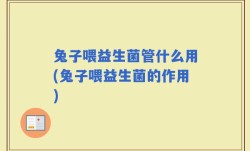 兔子喂益生菌管什么用(兔子喂益生菌的作用)