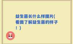 益生菌长什么样图片(看图了解益生菌的样子！)