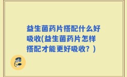 益生菌药片搭配什么好吸收(益生菌药片怎样搭配才能更好吸收？)
