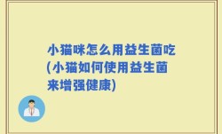 小猫咪怎么用益生菌吃(小猫如何使用益生菌来增强健康)
