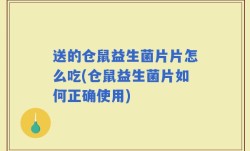送的仓鼠益生菌片片怎么吃(仓鼠益生菌片如何正确使用)