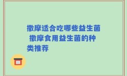 撒摩适合吃哪些益生菌 撒摩食用益生菌的种类推荐