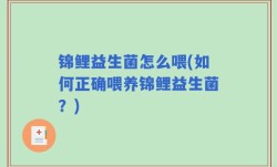 锦鲤益生菌怎么喂(如何正确喂养锦鲤益生菌？)