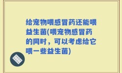 给宠物喂感冒药还能喂益生菌(喂宠物感冒药的同时，可以考虑给它喂一些益生菌)