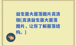 益生菌大菌落图片高清版(高清益生菌大菌落图片，让你了解菌落结构。)