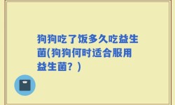 狗狗吃了饭多久吃益生菌(狗狗何时适合服用益生菌？)
