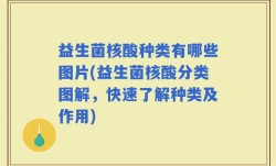 益生菌核酸种类有哪些图片(益生菌核酸分类图解，快速了解种类及作用)