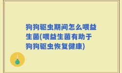 狗狗驱虫期间怎么喂益生菌(喂益生菌有助于狗狗驱虫恢复健康)