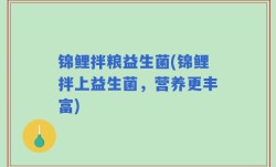 锦鲤拌粮益生菌(锦鲤拌上益生菌，营养更丰富)