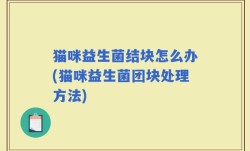 猫咪益生菌结块怎么办(猫咪益生菌团块处理方法)