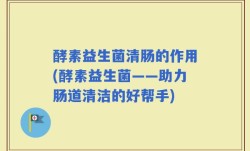 酵素益生菌清肠的作用(酵素益生菌——助力肠道清洁的好帮手)