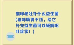 猫咪老吐补什么益生菌(猫咪肠胃不适，给它补充益生菌可以缓解呕吐症状！)