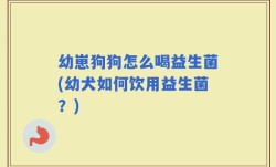 幼崽狗狗怎么喝益生菌(幼犬如何饮用益生菌？)