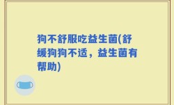 狗不舒服吃益生菌(舒缓狗狗不适，益生菌有帮助)