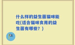什么样的益生菌猫咪能吃(适合猫咪食用的益生菌有哪些？)