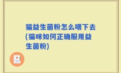 猫益生菌粉怎么喂下去(猫咪如何正确服用益生菌粉)