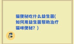猫便秘吃什么益生菌(如何用益生菌帮助治疗猫咪便秘？)