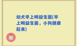 幼犬早上喝益生菌(早上喝益生菌，小狗健康起来)