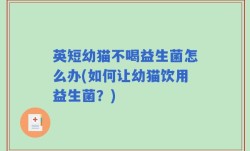 英短幼猫不喝益生菌怎么办(如何让幼猫饮用益生菌？)