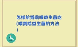 怎样给鹦鹉喂益生菌吃(喂鹦鹉益生菌的方法)