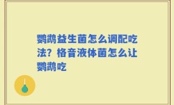 鹦鹉益生菌怎么调配吃法？格音液体菌怎么让鹦鹉吃