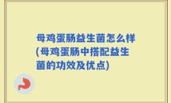 母鸡蛋肠益生菌怎么样(母鸡蛋肠中搭配益生菌的功效及优点)