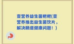 壹营养益生菌粑粑(壹营养推出益生菌饮片，解决肠道健康问题！)