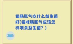 猫肠胀气吃什么益生菌好(猫咪肠胀气应该怎样喂食益生菌？)