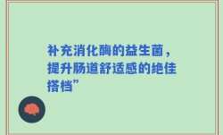 补充消化酶的益生菌，提升肠道舒适感的绝佳搭档”