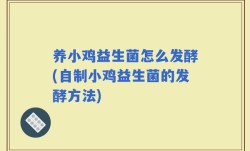 养小鸡益生菌怎么发酵(自制小鸡益生菌的发酵方法)