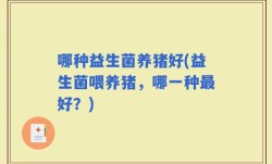 哪种益生菌养猪好(益生菌喂养猪，哪一种最好？)