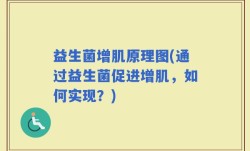 益生菌增肌原理图(通过益生菌促进增肌，如何实现？)