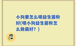 小狗要怎么喂益生菌粉好(喂小狗益生菌粉怎么做最好？)