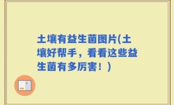 土壤有益生菌图片(土壤好帮手，看看这些益生菌有多厉害！)