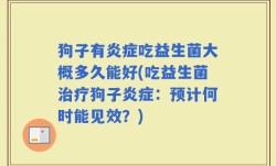 狗子有炎症吃益生菌大概多久能好(吃益生菌治疗狗子炎症：预计何时能见效？)