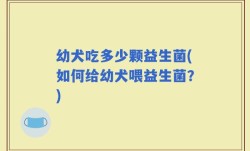 幼犬吃多少颗益生菌(如何给幼犬喂益生菌？)