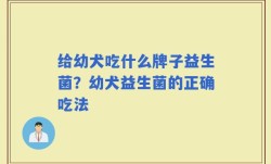 给幼犬吃什么牌子益生菌？幼犬益生菌的正确吃法
