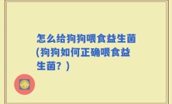 怎么给狗狗喂食益生菌(狗狗如何正确喂食益生菌？)