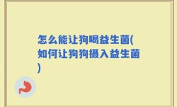 怎么能让狗喝益生菌(如何让狗狗摄入益生菌)