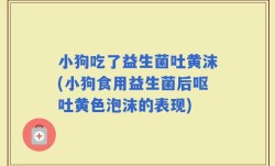 小狗吃了益生菌吐黄沫(小狗食用益生菌后呕吐黄色泡沫的表现)