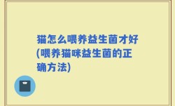 猫怎么喂养益生菌才好(喂养猫咪益生菌的正确方法)