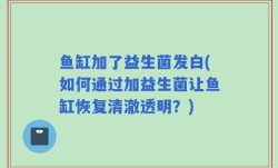 鱼缸加了益生菌发白(如何通过加益生菌让鱼缸恢复清澈透明？)