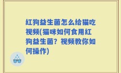 红狗益生菌怎么给猫吃视频(猫咪如何食用红狗益生菌？视频教你如何操作)