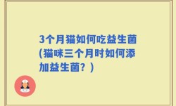 3个月猫如何吃益生菌(猫咪三个月时如何添加益生菌？)