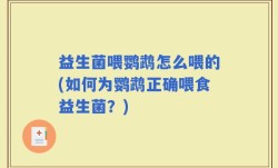 益生菌喂鹦鹉怎么喂的(如何为鹦鹉正确喂食益生菌？)