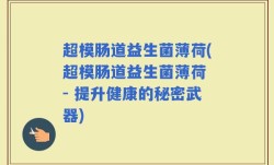 超模肠道益生菌薄荷(超模肠道益生菌薄荷 - 提升健康的秘密武器)