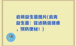启硕益生菌图片(启爽益生菌：促进肠道健康，预防便秘！)