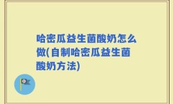 哈密瓜益生菌酸奶怎么做(自制哈密瓜益生菌酸奶方法)