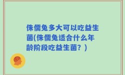 侏儒兔多大可以吃益生菌(侏儒兔适合什么年龄阶段吃益生菌？)
