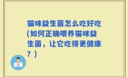 猫咪益生菌怎么吃好吃(如何正确喂养猫咪益生菌，让它吃得更健康？)